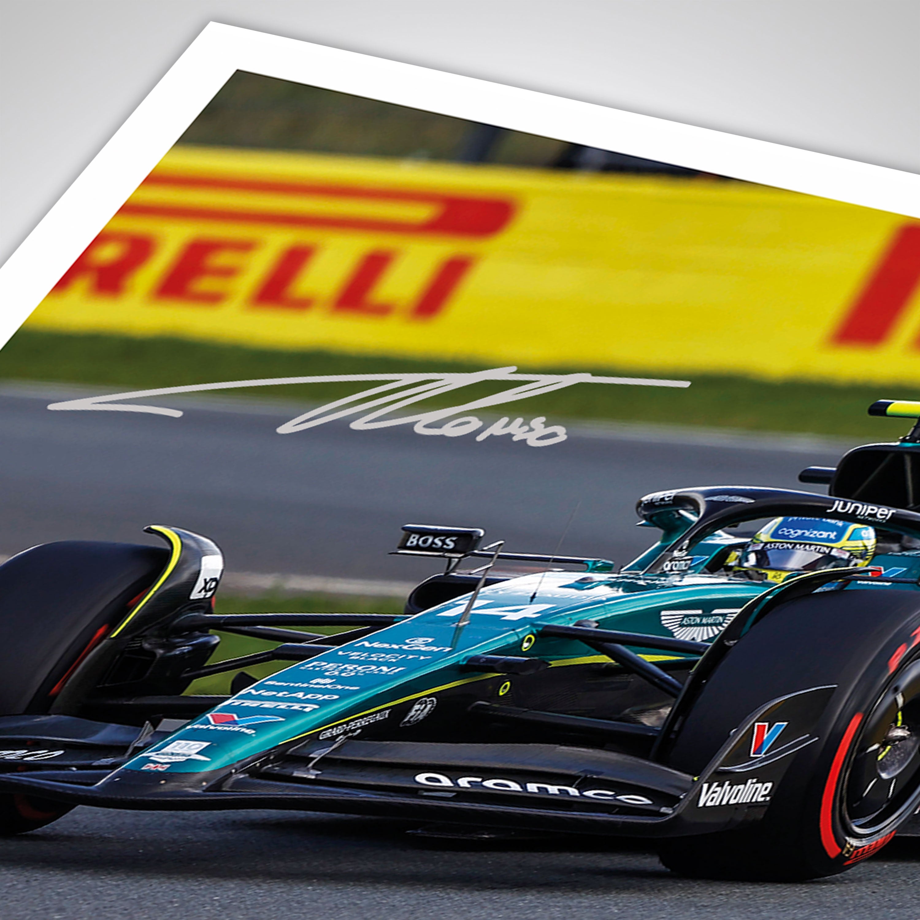Fernando Alonso 2023 Signed Photo – Dutch GP