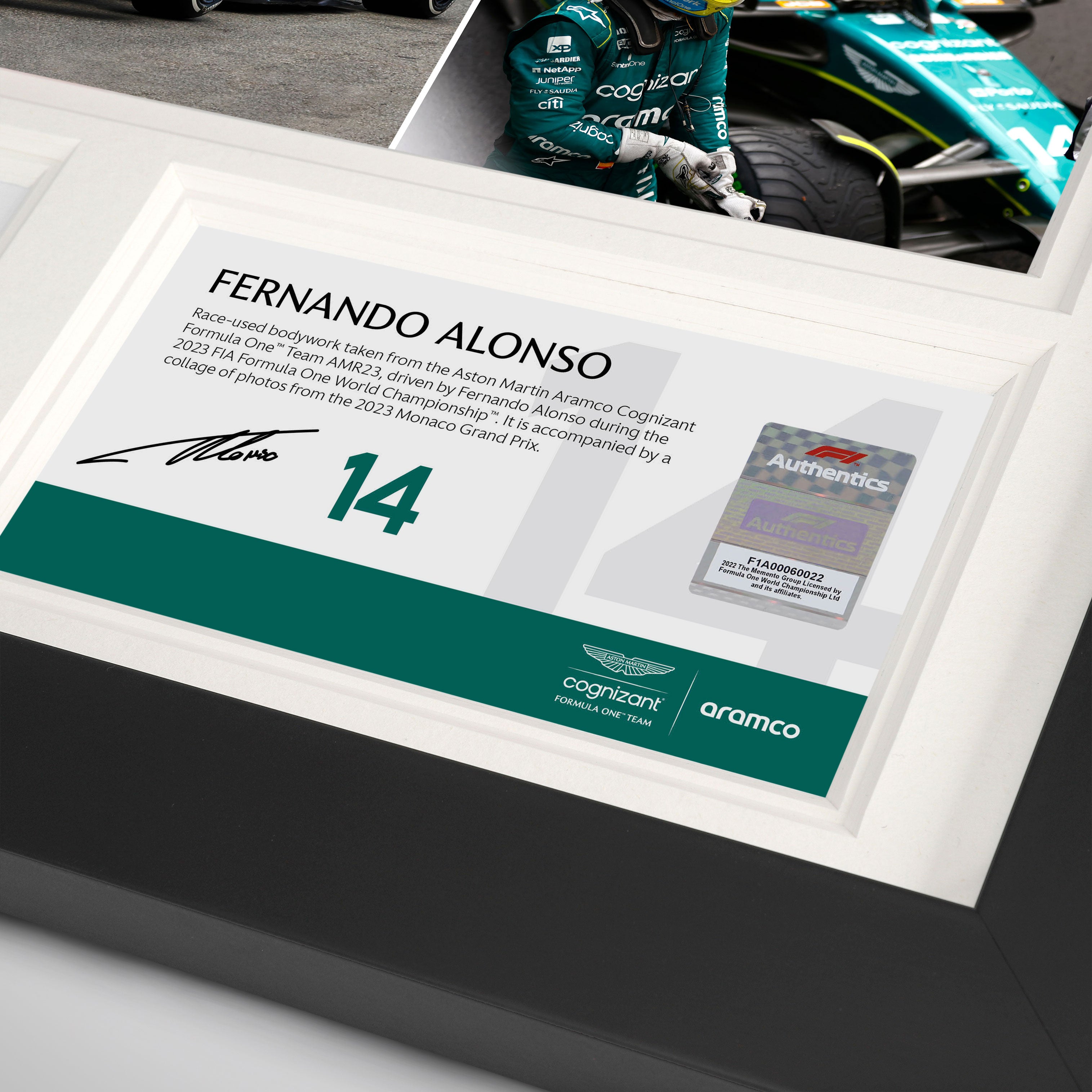 Fernando Alonso 2023 Bodywork & Photo – Monte Carlo