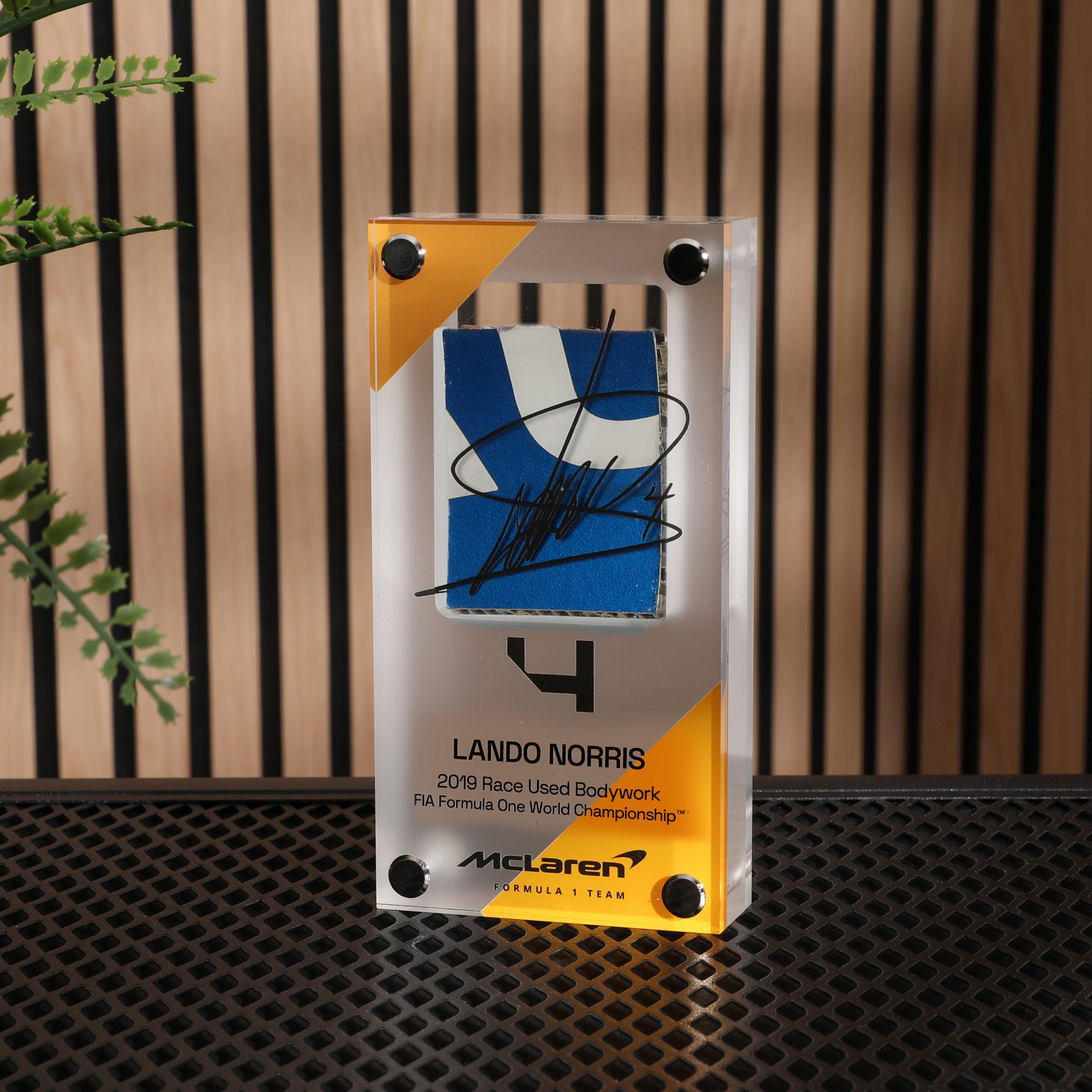 Lando Norris 2019 Bodywork in Acrylic