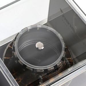 McLaren F1® Team 2025 Gold Wheel Nut in Display Case