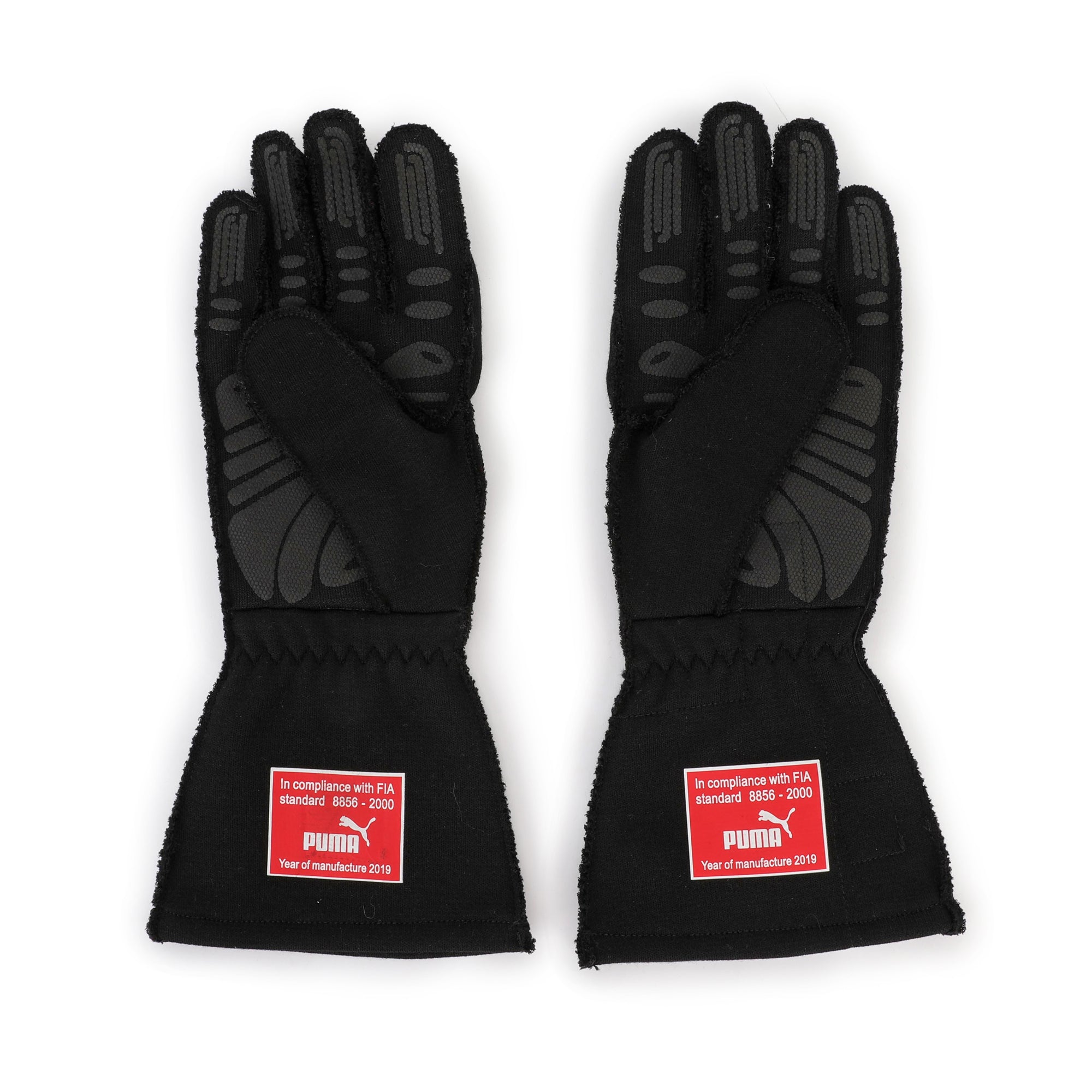 Charles Leclerc 2019 Signed (Bag Only) Gloves