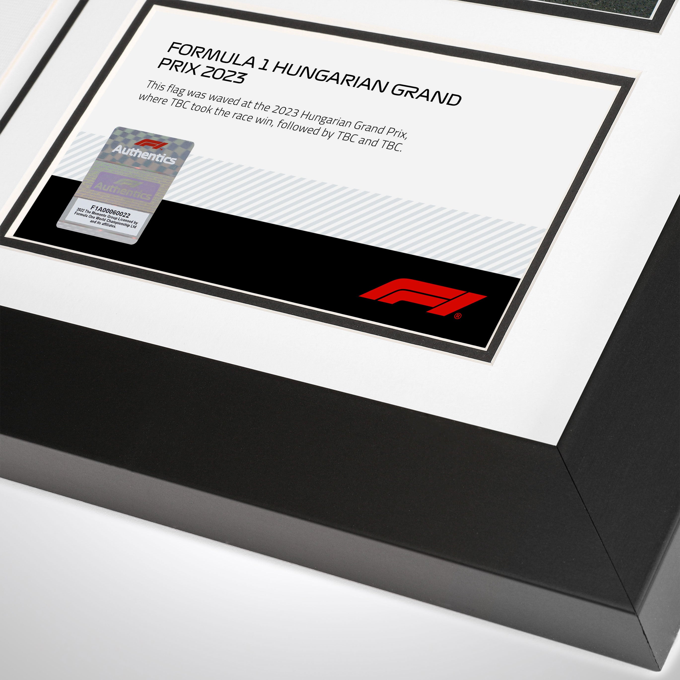 Own the Chequered Flag – 2023 Hungarian Grand Prix