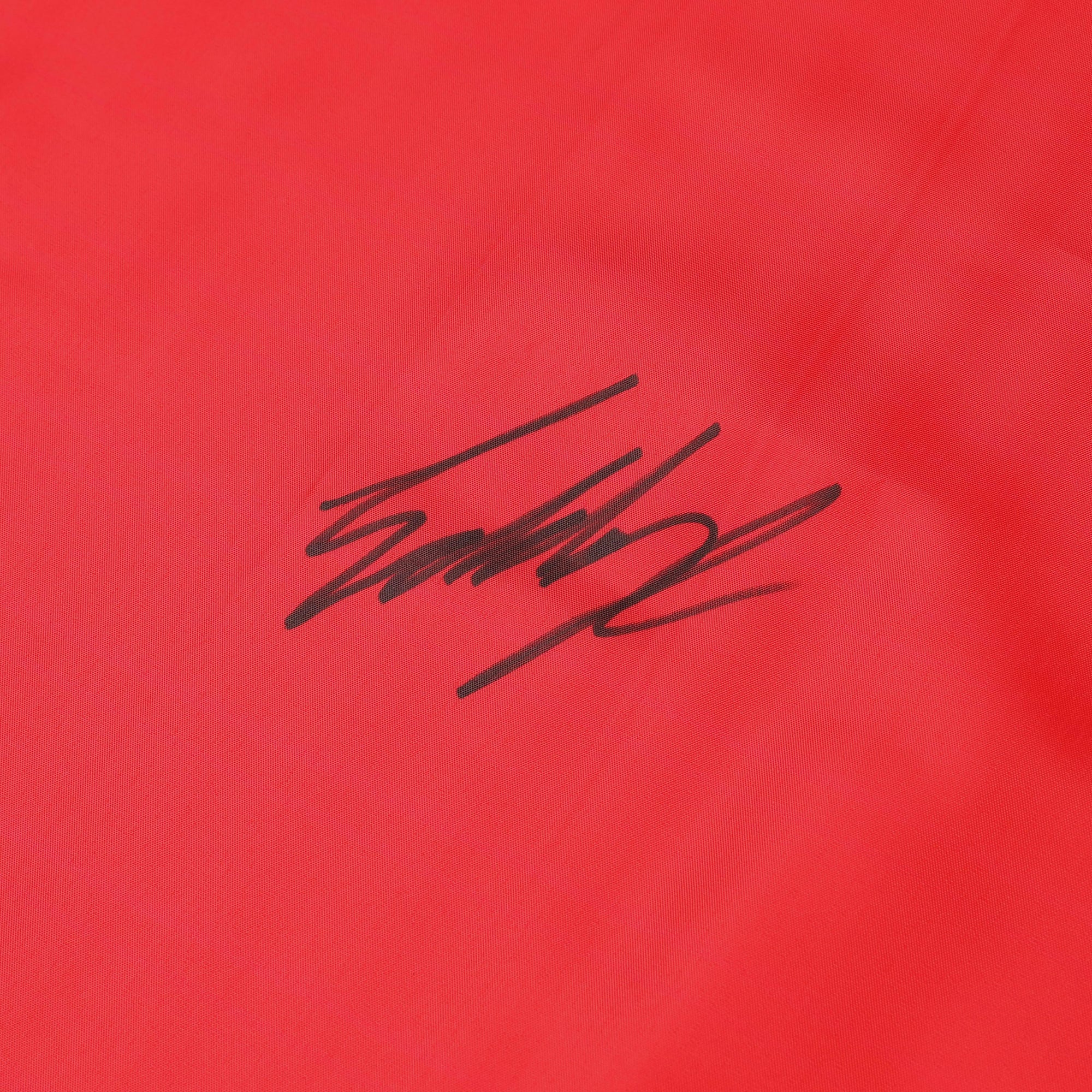 Ferrari Multi Signed Flag