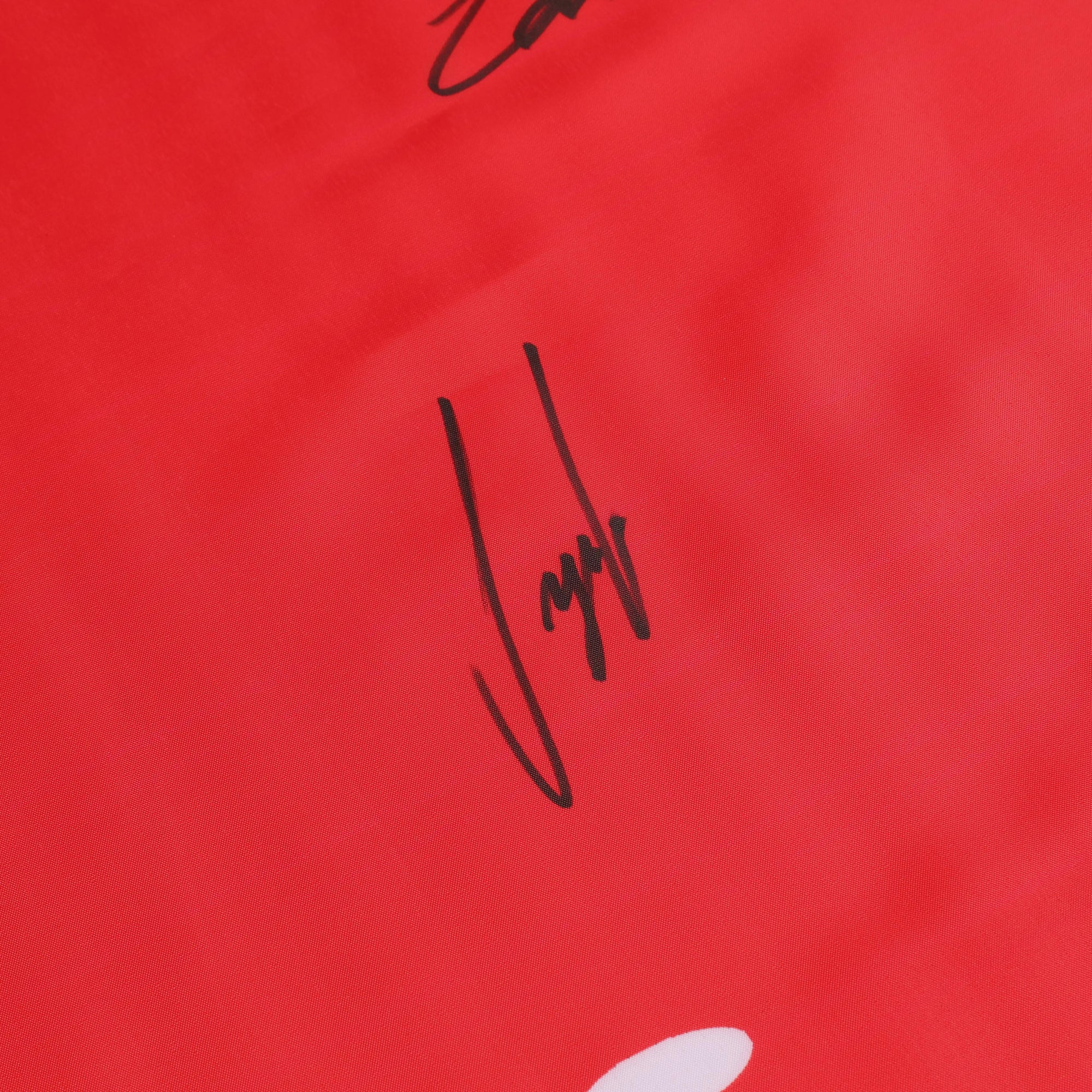 Ferrari Multi Signed Flag