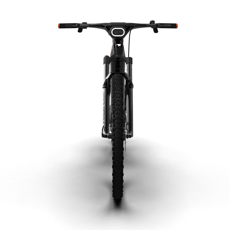 McLaren Extreme 250 Electric Mountain Bike