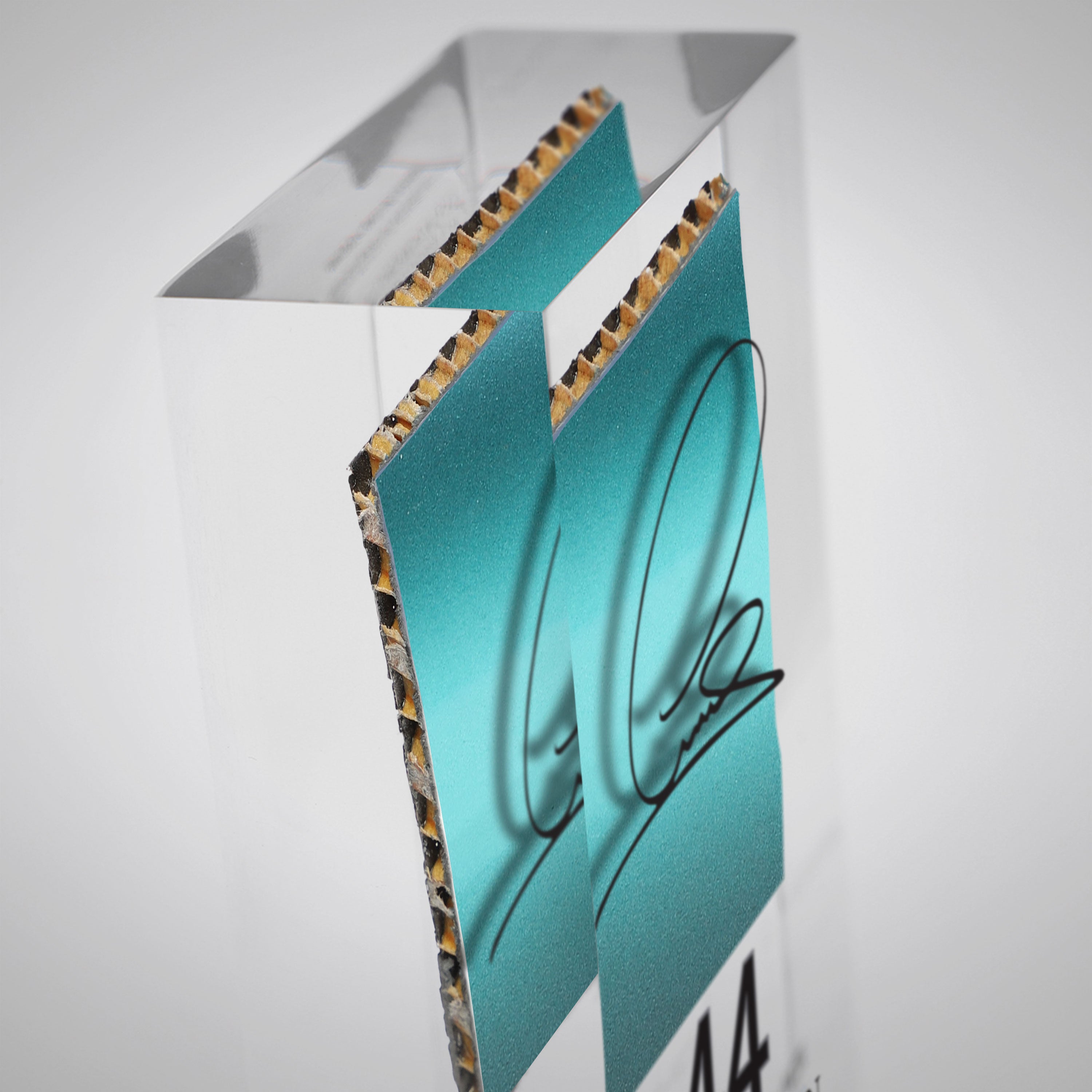 Lewis Hamilton 2015 Bodywork in Acrylic