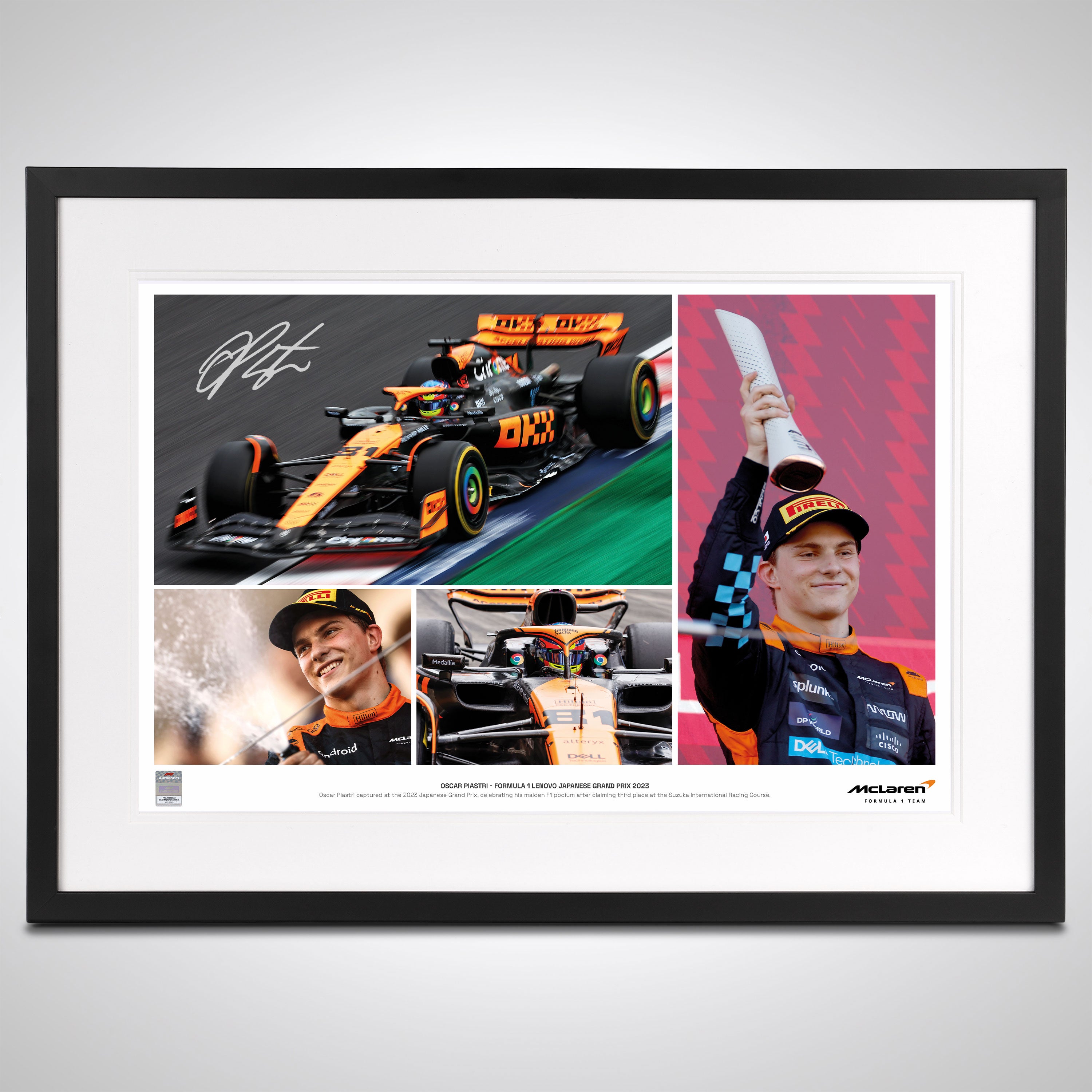 2023 Formula 1 World Champions Poster print –