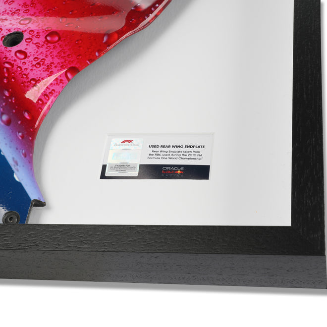 Red Bull Racing 2009 Grand Prix Used RB5 Righthand Rear Wing Endplate - Red Bull Cola Branding #2