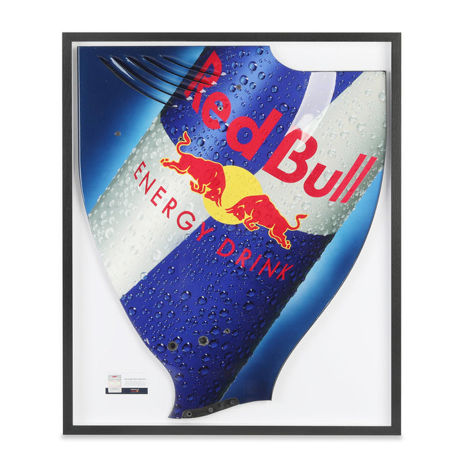 Red Bull Racing RB6 2010 Framed Season Used Left Hand Rear Wing Endplate