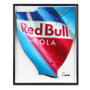 Authentic Red Bull Racing 2010 RB6 Grand Prix-used right-hand rear wing endplate with Red Bull Cola branding, genuine Formula 1 race-used bodywork for collector display