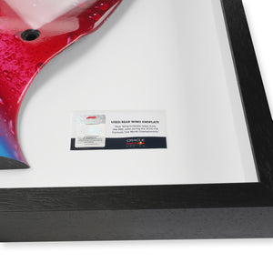 2010 Red Bull Racing RB6 right-hand rear wing endplate featuring Red Bull Cola branding, authentic Formula 1 Grand Prix-used bodywork and motorsport memorabilia