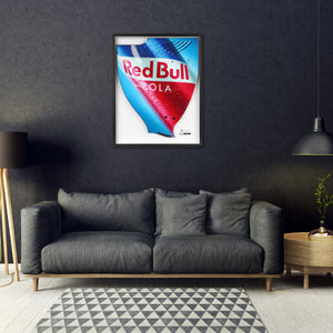 Red Bull Racing 2010 RB6 Grand Prix-used right-hand rear wing endplate with Red Bull Cola branding, authentic Formula 1 memorabilia for collectors