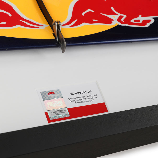 LOT 630 - Red Bull Racing 2011 Grand Prix Used RB7 DRS Flap #2
