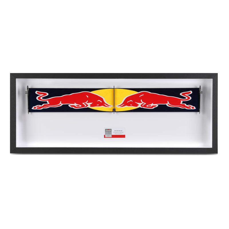 Red Bull Racing 2011 Grand Prix Used RB7 DRS Flap