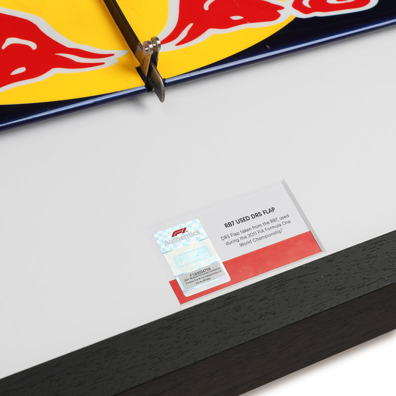 Red Bull Racing 2011 Grand Prix Used RB7 DRS Flap