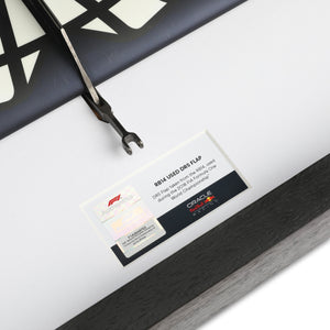 LOT 095 - Red Bull 2018 Grand Prix Used DRS Flap