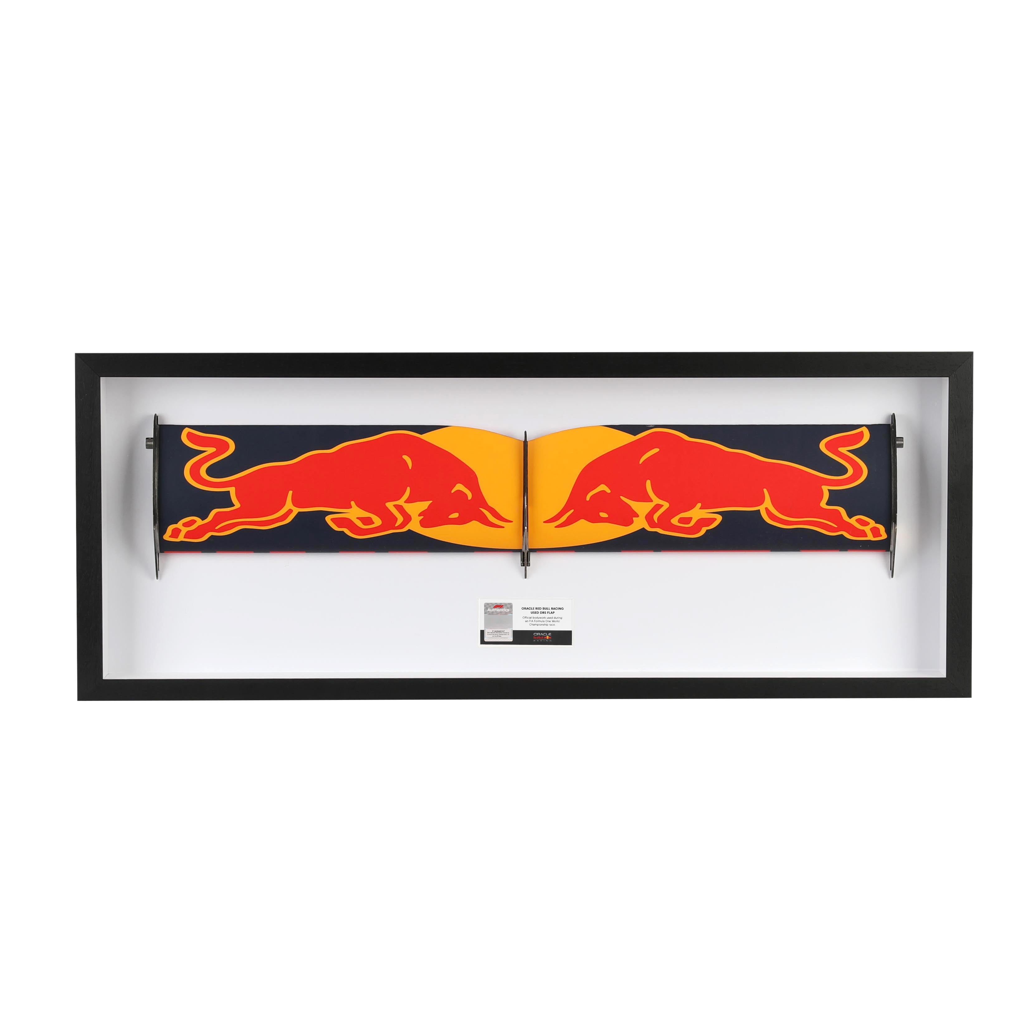 Red Bull Racing Grand Prix Used DRS Flap