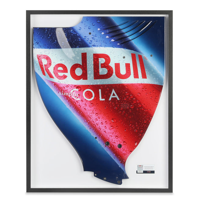 Red Bull Racing RB6 2010 Framed Season Used Right Hand Rear Wing Endplate