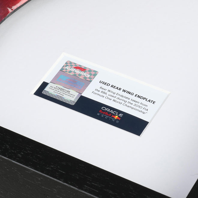 LOT 631 - Red Bull Racing RB6 2010 Framed Season Used Right Hand Rear Wing Endplate