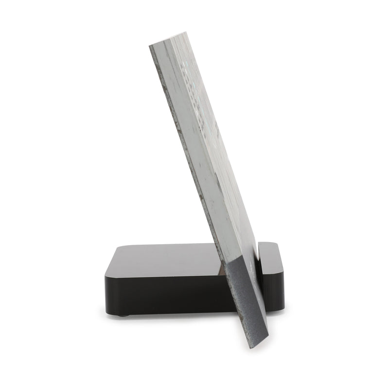 Mercedes-AMG F1 Team 2014 Desktop Skid Plank