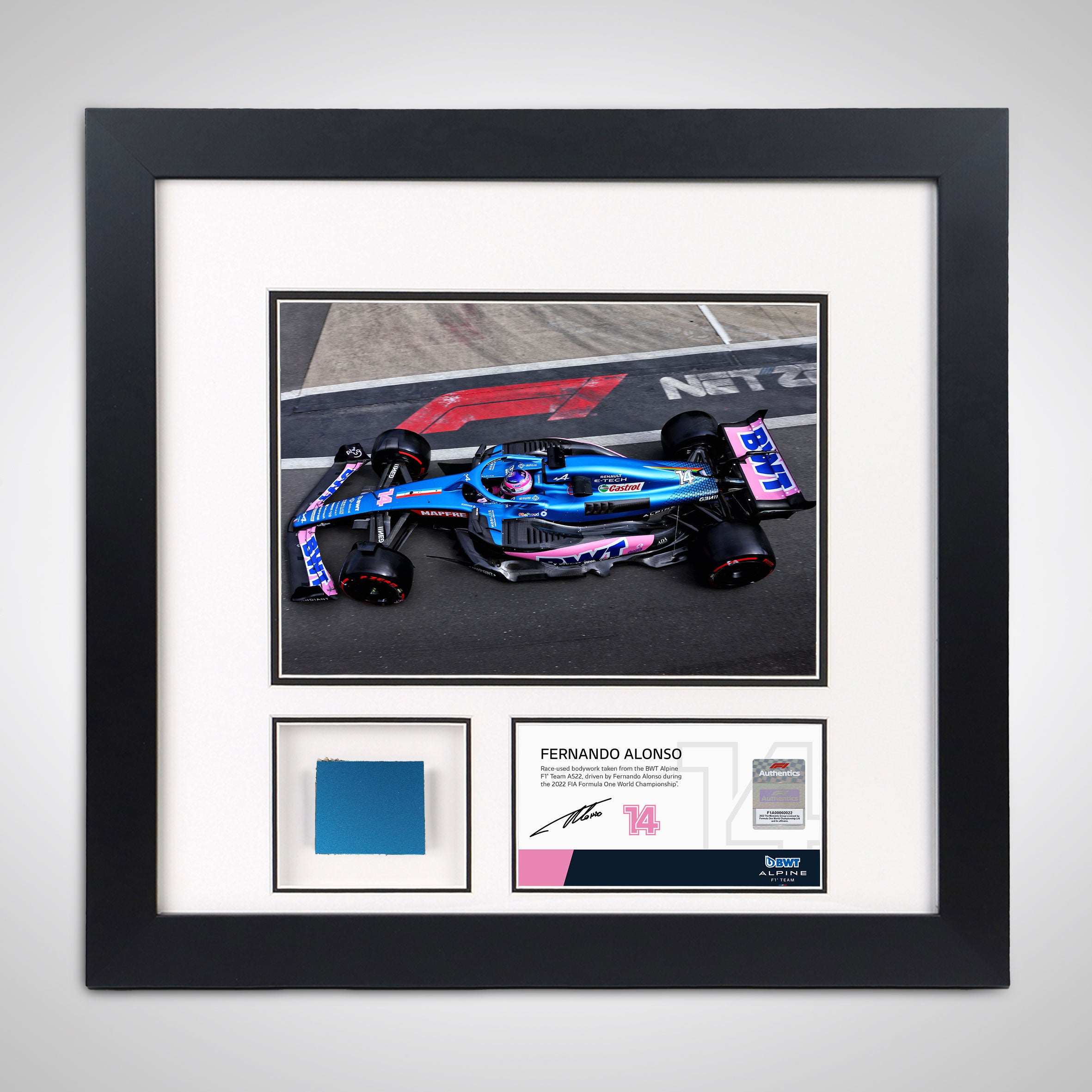 Fernando Alonso 2022 Bodywork & Photo - British GP